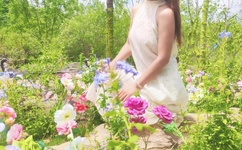 全高清视频直播系统